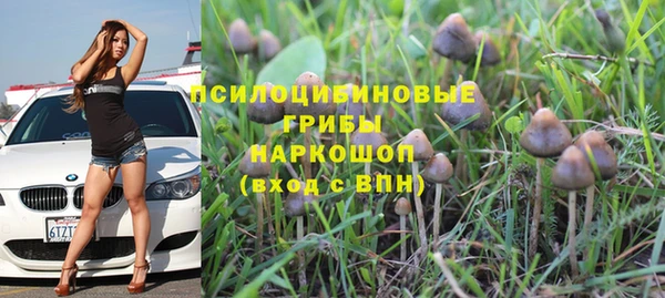 прущая мука Нефтекумск