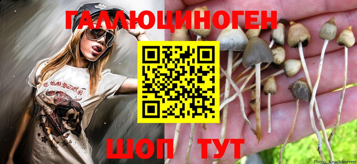 Галлюциногенные грибы ЛСД  Вход с VPN  Лесозаводск  Псилоцибиновые грибы мухоморы 