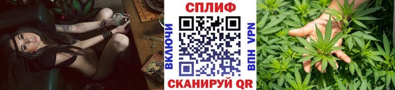 как найти закладки  Лесозаводск  Шишки марихуана MAZAR 